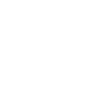 Car Icon