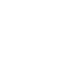 Boat Icon