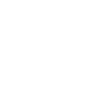 Bike Icon