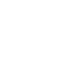 Bus Icon