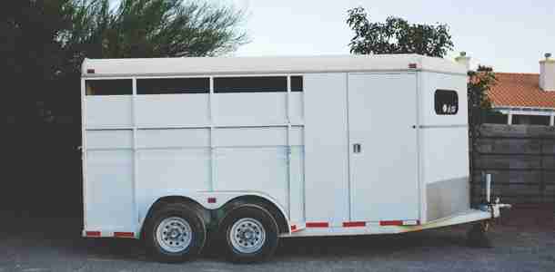 White horse trailer