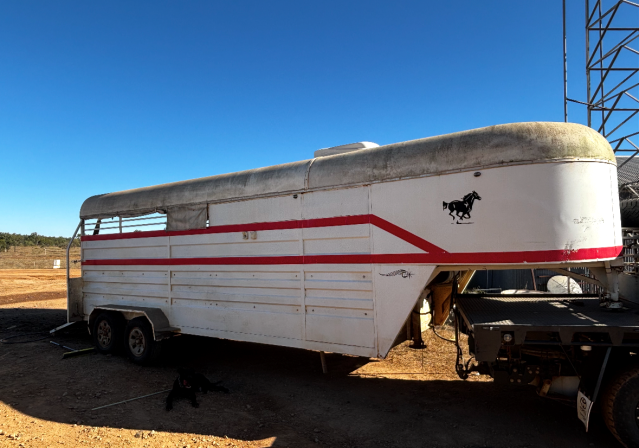 Used gooseneck horse float parked outdoors in Australia, suitable for transporting multiple horses.